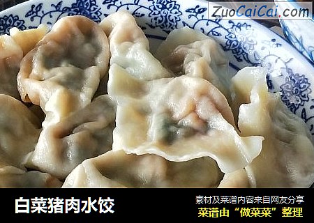 白菜猪肉水饺