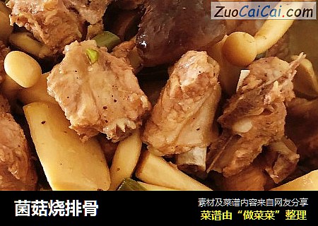 菌菇烧排骨