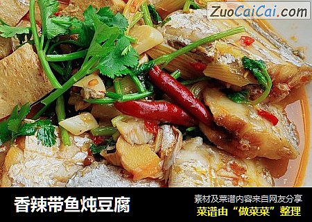 香辣带鱼炖豆腐