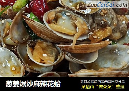 葱姜爆炒麻辣花蛤