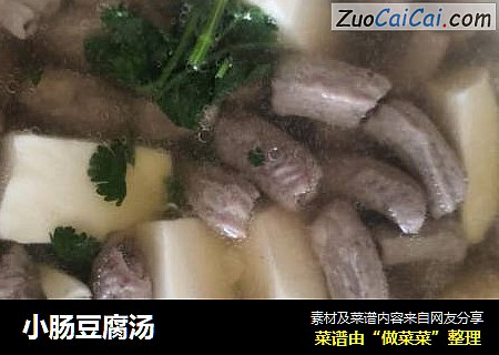 小肠豆腐汤