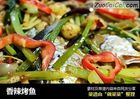 香辣烤鱼
