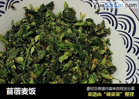 苜蓿麦饭