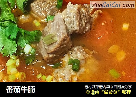 番茄牛腩