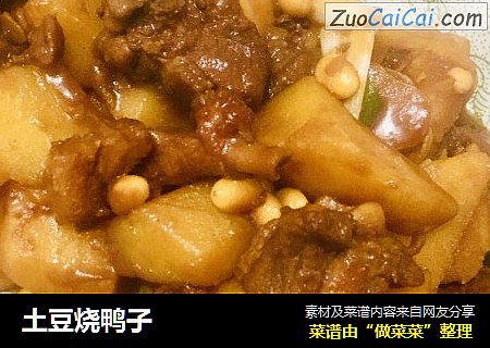 土豆烧鸭子