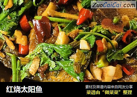 红烧太阳鱼