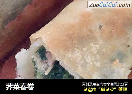 荠菜春卷