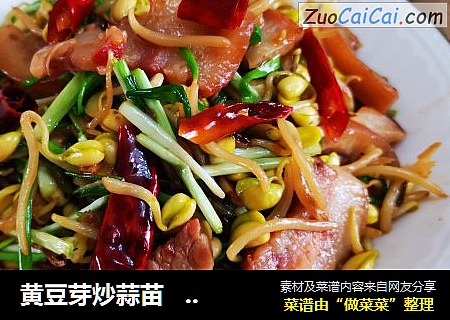 黄豆芽炒蒜苗                