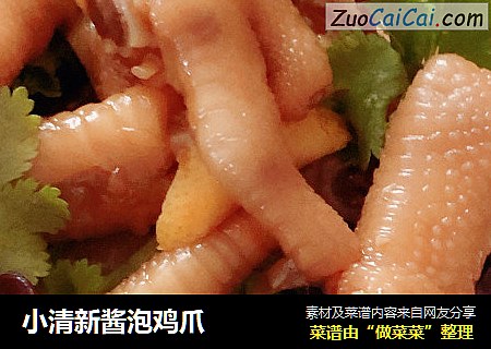 小清新酱泡鸡爪