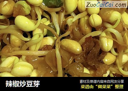 辣椒炒豆芽