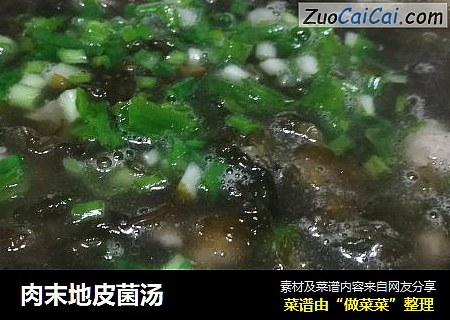 肉末地皮菌汤