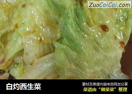 白灼西生菜