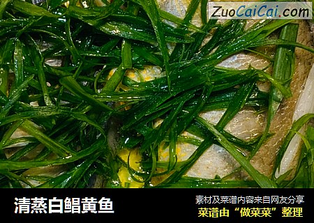 清蒸白鲳黄鱼