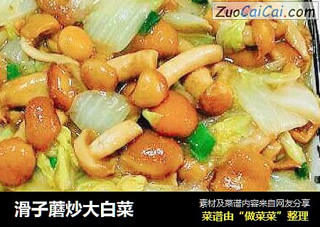 滑子蘑炒大白菜