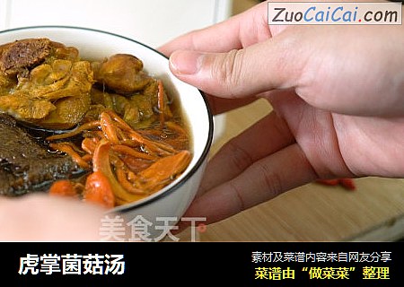 虎掌菌菇汤