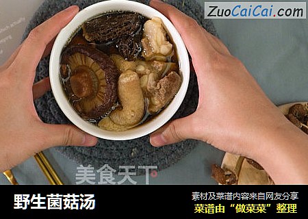 野生菌菇汤
