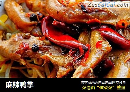 麻辣鸭掌