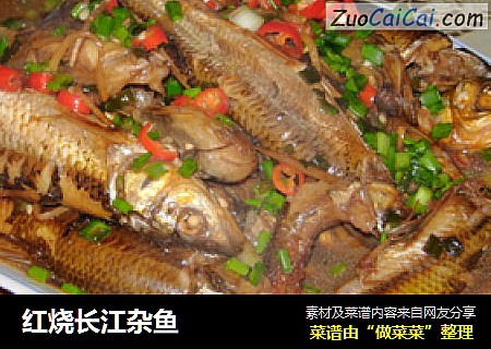 红烧长江杂鱼