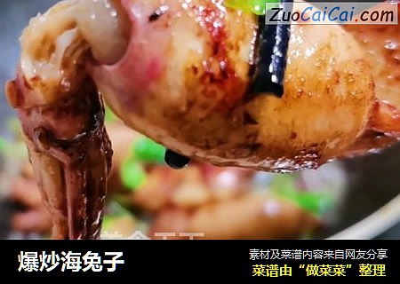 爆炒海兔子