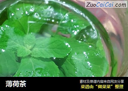 薄荷茶