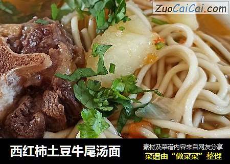 西红柿土豆牛尾汤面