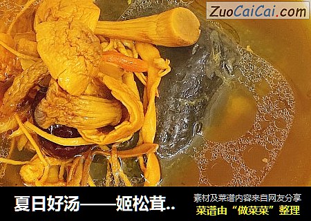 夏日好汤——姬松茸虫草花乌鸡汤