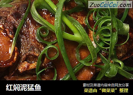 红焖泥猛鱼