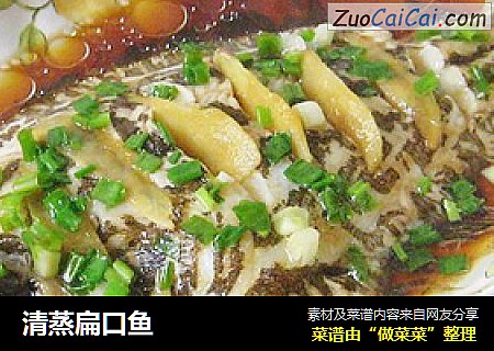 清蒸扁口鱼
