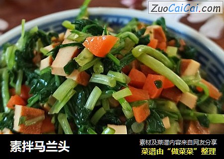 素拌马兰头