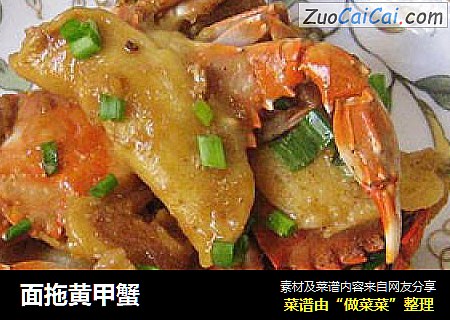 面拖黄甲蟹