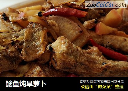 鲶鱼炖旱萝卜