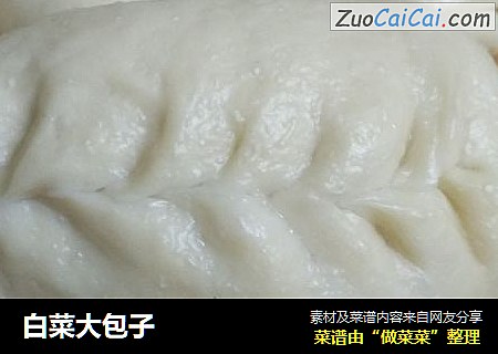 白菜大包子