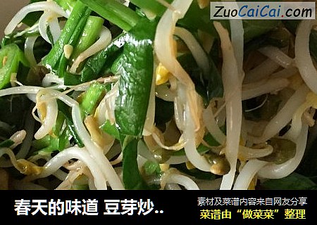 春天的味道 豆芽炒韭菜