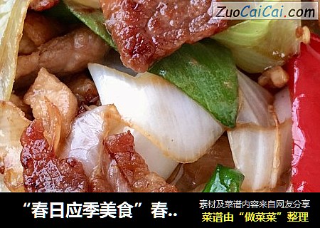 “春日应季美食”春葱炒肉