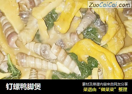 钉螺鸭脚煲
