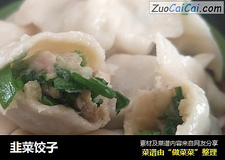 韭菜饺子