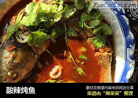 酸辣炖鱼