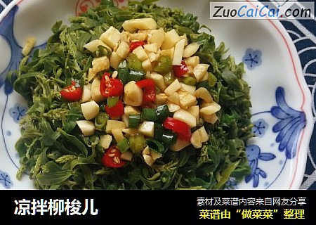 凉拌柳梭儿