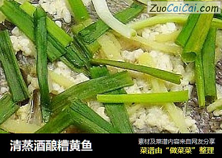 清蒸酒酿糟黄鱼