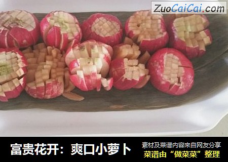 富贵花开：爽口小萝卜