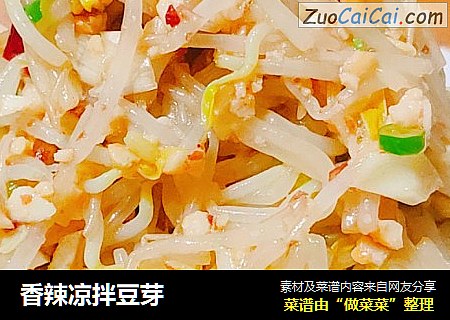 香辣凉拌豆芽