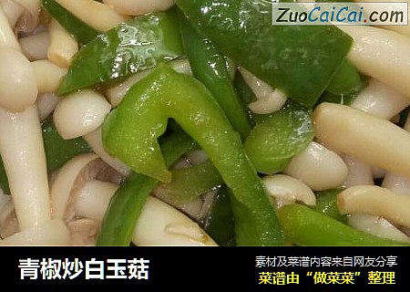 青椒炒白玉菇