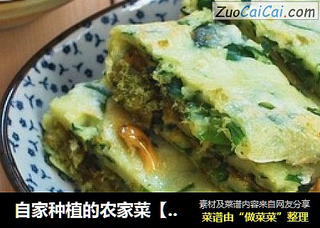 自家种植的农家菜【木耳菜煎饼】