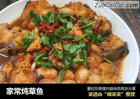 家常炖草鱼
