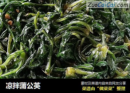 凉拌蒲公英