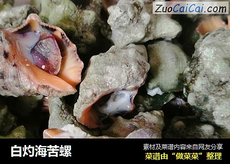 白灼海苦螺