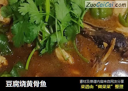 豆腐烧黄骨鱼