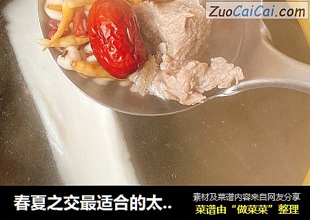 春夏之交最适合的太子参健脾祛湿汤