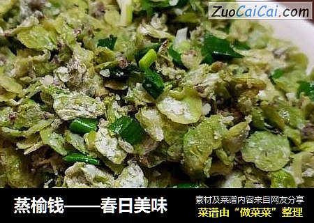 蒸榆钱——春日美味