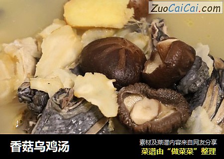 香菇乌鸡汤